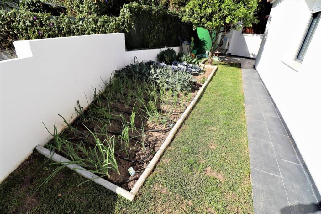 Villa Hoyo 19 Marbella Esterno foto